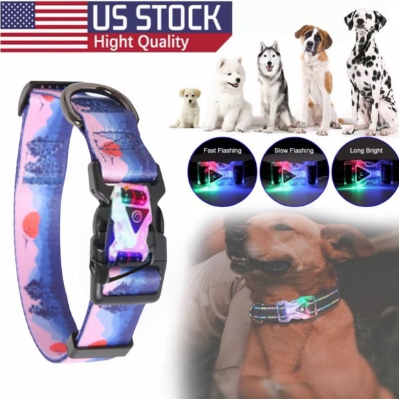 LED Dog Collar Night Safety Light Up Sunset Love Xtra Batteries Included Med NWT - Picture 1 of 16